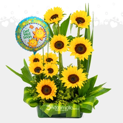 Arreglo Floral De Girasoles A Domicilio En Cali 