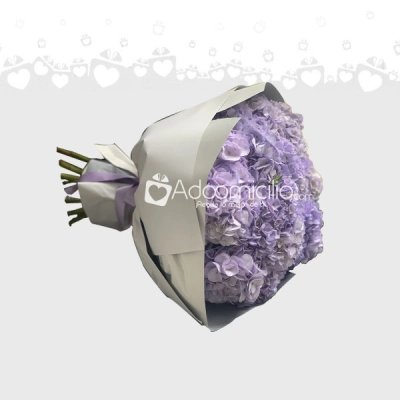 Hermoso Arreglo De Hortensias A Domicilio En Armenia Pedido Con Un Dia De Anticipado