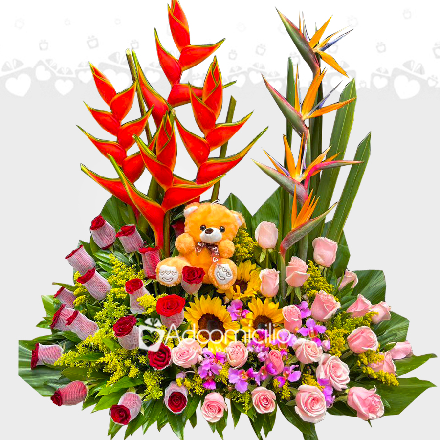 DISEÑO JARDIN No 9