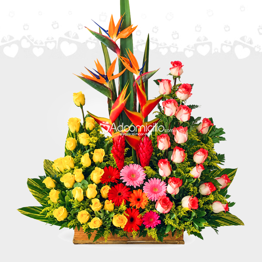 Arreglo Floral Con Flores Exóticas A Domicilio En Cali 