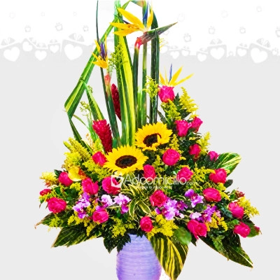 Flores A Domicilio En Cali 