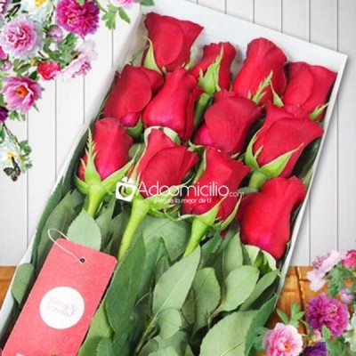 Flores Bogota  a domicilio en  Caja de Rosas Rojo Pasión Por 12 Unidades