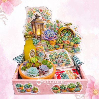 Desayuno Sorpresa Con Suculentas Para El Día De La Madre A Domicilio En Bogotá Pedido Con Un Día De Anticipación