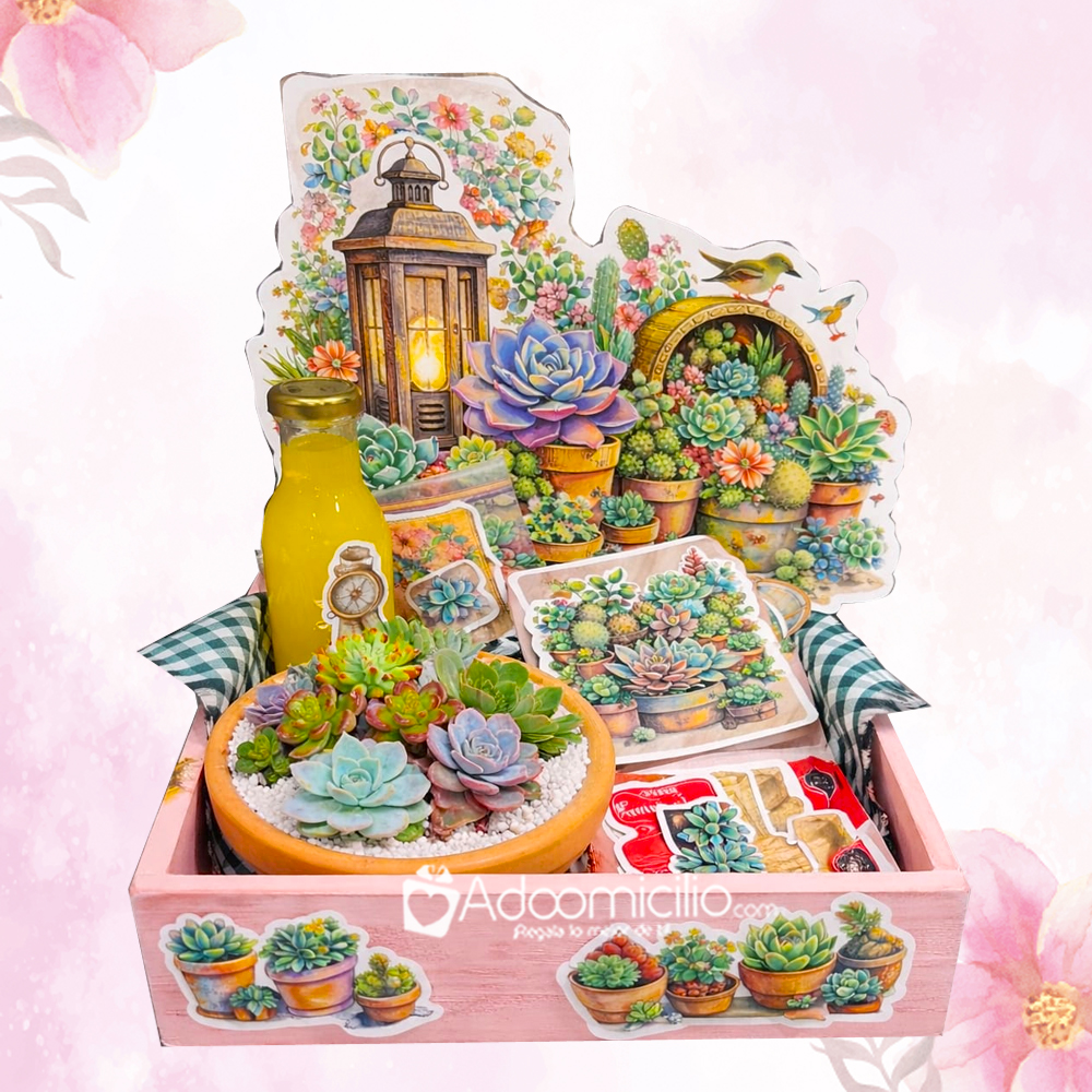 Desayuno Sorpresa Con Suculentas Para El Día De La Madre A Domicilio En Bogotá Pedido Con Un Día De Anticipación