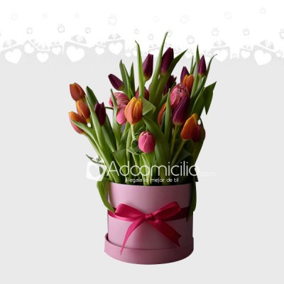  Arreglo Floral Tulip&tulip Mediano Pedido con un día Anticipado en México 
