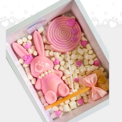 Regalo Para Niña Conejita De Chocolate A Domicilio En Bucaramanga Pedido Con 1 Día De Anticipación 
