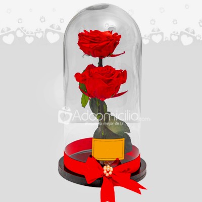 Rosa Preservada En Urna De Cristal San Valentín a Domicilio Medellín 