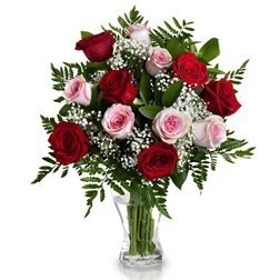 Florero x12 Rosas Rojas y Rosadas A Domicilio En Cali 